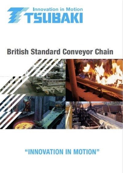 British Standard Conveyor Chain