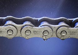 100th Anniversary Series New And Improved Neptune® Chain