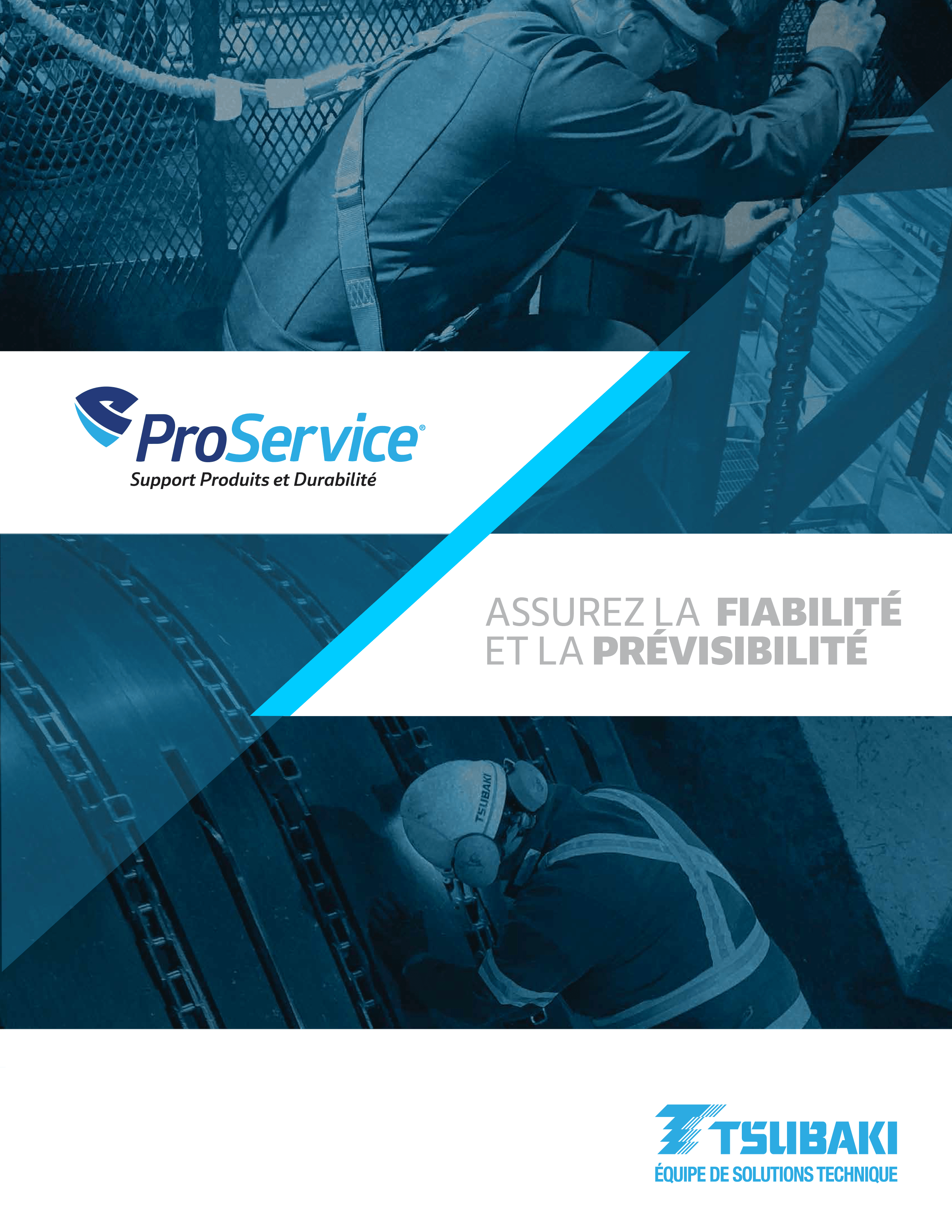 ProService Brochure (French)